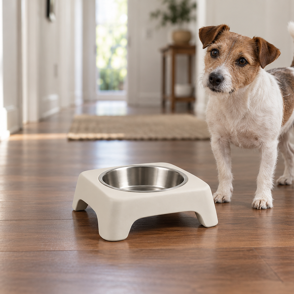 Sill Bowl Stand in Chalk, lifestyle view